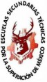 /album/escuela-secundaria-tecnica-n%c2%b0-45/images-2-jpg/